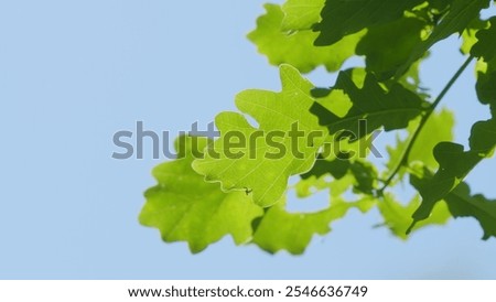 Similar – Image, Stock Photo Amazing scenery with waving sea