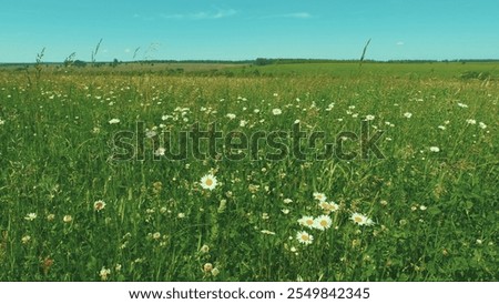 Similar – Image, Stock Photo Amazing scenery with waving sea