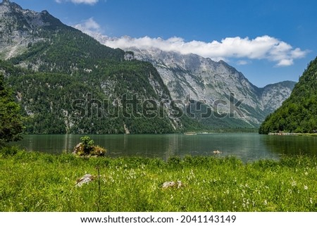 View of the Obersee Lake behind the Watzmann massif, Salet at Koenigssee, Berchtesgaden National Park, Bavaria, Upper Bavaria, Germany, Europe Photo stock © 