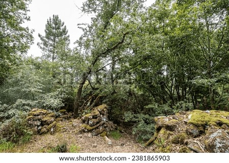 Similar – Image, Stock Photo View of the Sil Canions from the river