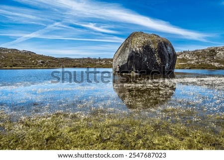 Similar – Foto Bild Portugal Umwelt Natur