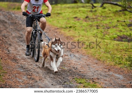 Similar – Foto Bild Fahrradjöring Hund. Huskyschlittenhunde ziehen mit seinem besten Freund ein Fahrrad.