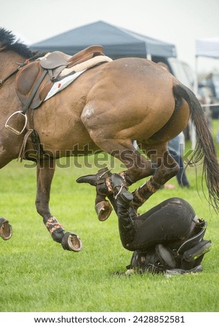 Similar – Image, Stock Photo The three riders and their dogs return after work