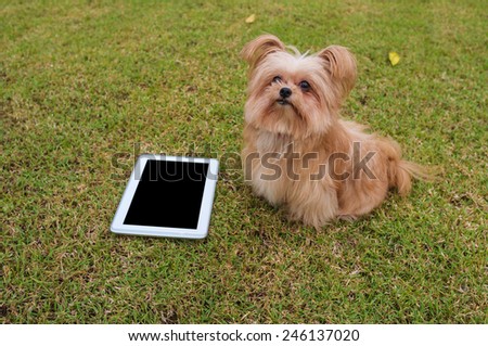 cute dog sitting with empty screen tablet