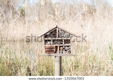 Mini decorative house made of wood with shelves to store organic material of nature. Delta del Llobregat. Les Filipines and the Remolar del Prat. Barcelona, ​​Catalonia, Spain Photo stock © 