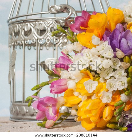 Bouquet of colorful freesia flowers and bird cage