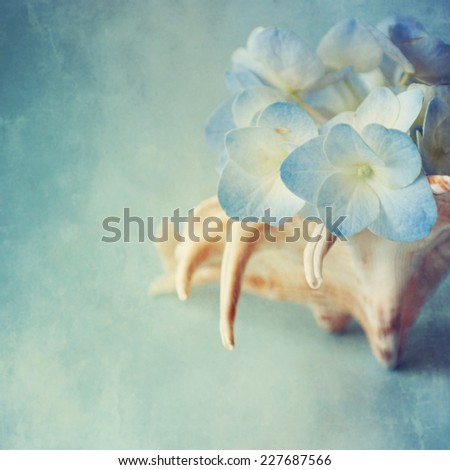Hortensia flower in the sea shell