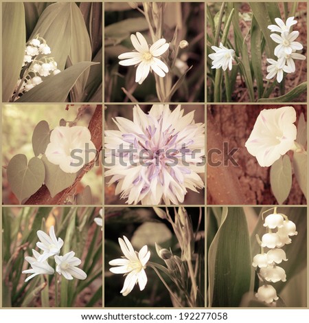Vintage floral collage of various flowers. Filtered image in retro style. Art floral background with paper texture overlay.