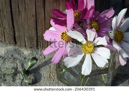 Cosmos flowers. Small bouquet of summer flowers.