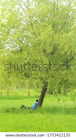 Similar – Image, Stock Photo far away | favorite place at the other end of the world