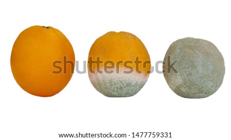 Similar – Image, Stock Photo rotting date | is rung in