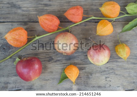 Apples and Physalis in Weird Composition
