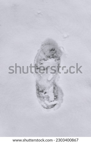 Similar – Image, Stock Photo smooth one Top marks 1