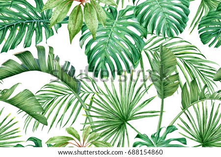 Similar – Image, Stock Photo Monstera Wallpaper