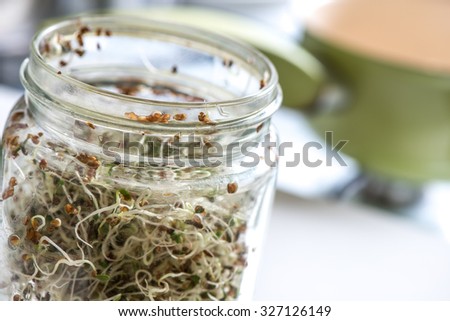 Fresh sprouts seeds isolated on glass jar