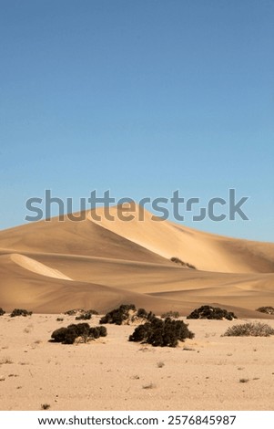 Similar – Image, Stock Photo Dune against blue sky Sand