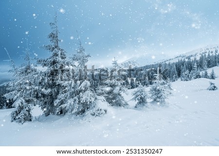 Similar – Image, Stock Photo snowy winter landscape with tree