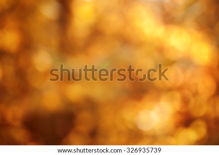 blurred or defocused natural vintage autumn  background