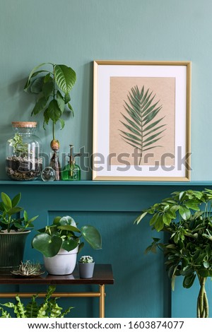 Similar – Image, Stock Photo wooden wall with cactus plants in pots on cupboard,