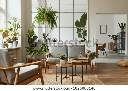 Modern scandinavian interior of living room with design grey sofa, armchair, a lot of plants, coffee table, carpet and personal accessories in cozy home decor. Template. Imagine de stoc © 