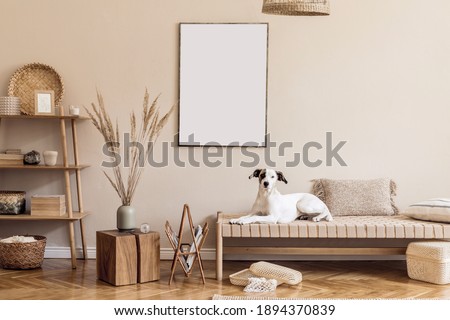 Boho composition of living room with furnitures, mock up painting, rattan decoration, bamboo shelf with elegant personal accessories. Beautiful dog lying on the chaise longue. Home decor Template.