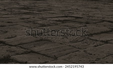 Similar – Image, Stock Photo Cobbled road with grass between stones