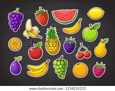 Vector illustration set of summer fruits. Strawberry, raspberry, blackberry, cherry, watermelon, apple, pear, banana, orange, lemon, pineapple, plum, grape, slice of watermelon. Stickers with contour