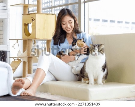 Similar – Image, Stock Photo two cats sitting on wall, facing each other and arguing