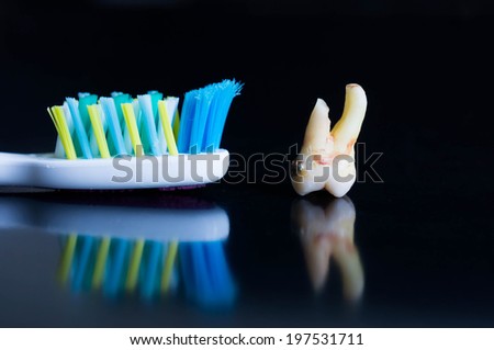 photo of broken tooth after extraction and a toothbrush head