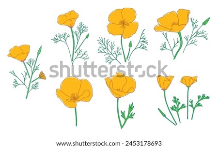 Similar – Foto Bild Goldmohn / kalifornischer Mohn / Schlafmützchen / Eschscholzia californica