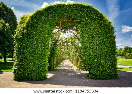 Similar – Image, Stock Photo green tendrils from roof in front of house wall
