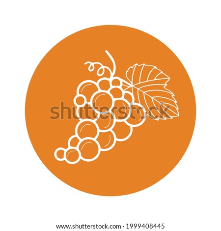 Grape icon (raisins, winery icon) Circle version icon