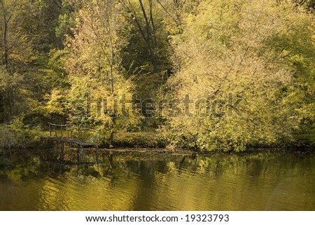 Autumn landscape in country.  Landscape on the river near the forest.