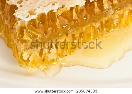Honey comb on a white plate. Health Benefits
