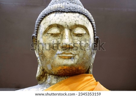 Image, Stock Photo Buddha face covered with tree roots