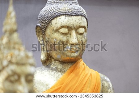 Similar – Image, Stock Photo Buddha face covered with tree roots