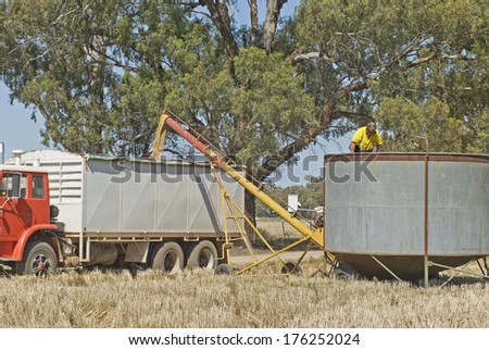 farmer checks field bin as truck is loaded with grain