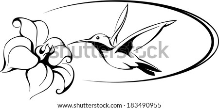 flower vector with humming bird vector