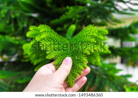 Shutterstock Puzzlepix Shutterstock Puzzlepix