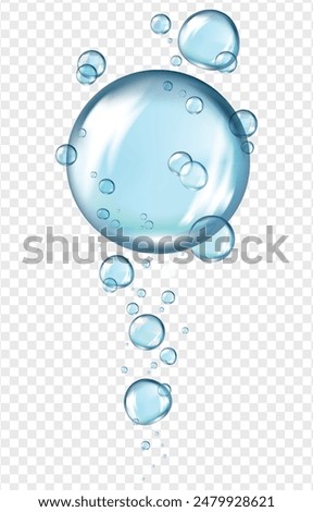 Realistic Water Bubbles Isolated on Transparent Background