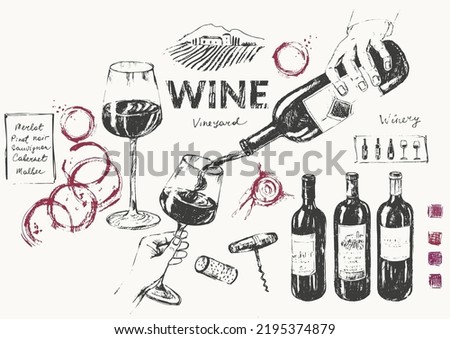 Hand drawn wine illustration set. Wine bottle, glass, hand pouring wine, snack, cheese, grapes, vine, vineyard, cork, corkscrew, bread, wine stains. Menu list, label, packaging design.