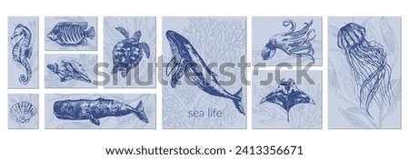 Vector sea animals illustration set. Navy blue sketch of whale, octopus, crab, seahorse, sea turtle, jellyfish, starfish, manta ray, shells, coral fish. Wild life ocean creature vintage poster.