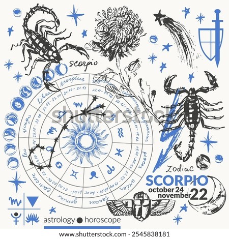 Hand drawn scorpio zodiac sign illustration, horoscope background with astrology symbols and talismans. Zodiac wheel, planets, sun, moon, star constellations, scarab, chrysanthemum, sword, shield.