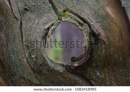 Similar – Image, Stock Photo Looking through the woods to a boat on a lake in the mountains with still reflection