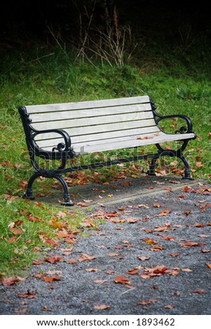 Park bench surrounded by fallen leaves