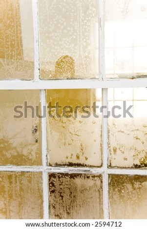 Frosted window frame on a sunny day