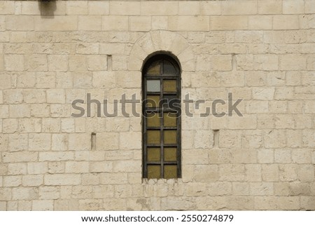 Similar – Image, Stock Photo Old masonry with lattice and two ivy trunks entwined around each other