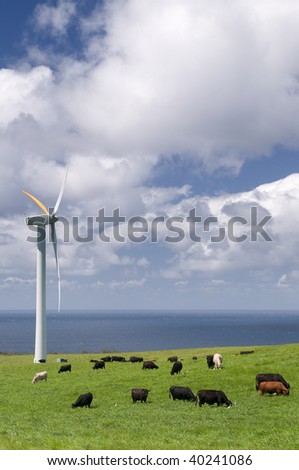 Cows grazing in green meadow among wind turbines on the ocean shore, alternative energy, electricity generation