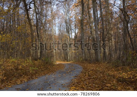 dirt road in the back country of Virginia in fall