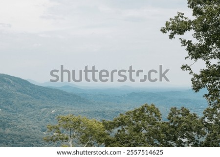 Similar – Image, Stock Photo Hidden road in the forest in spring